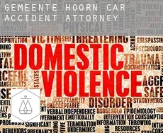 Gemeente Hoorn  car accident attorney