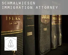 Schmalwiesen immigration attorney