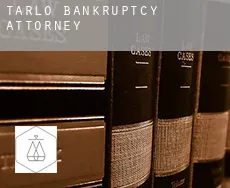 Tarlo bankruptcy attorney