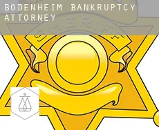 Bodenheim  bankruptcy attorney