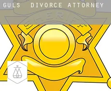 Güls  divorce attorney