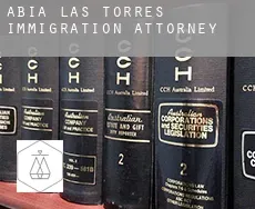 Abia de las Torres immigration attorney