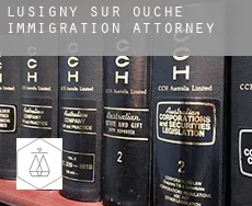 Lusigny-sur-Ouche immigration attorney