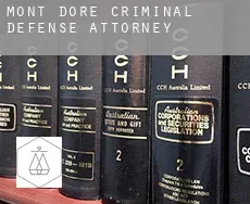 Mont-Dore criminal defense attorney