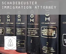 Schadebeuster  immigration attorney