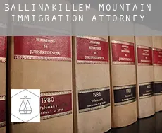 Ballinakillew Mountain immigration attorney