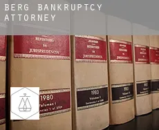 Berg  bankruptcy attorney