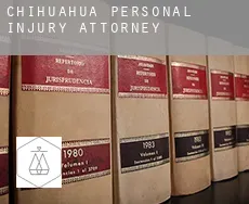 Chihuahua  personal injury attorney