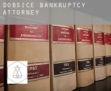 Dobšice bankruptcy attorney