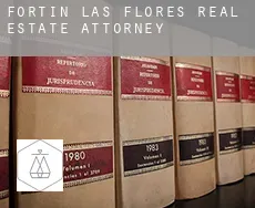 Fortín de las Flores  real estate attorney