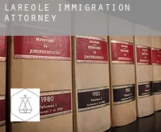 Laréole immigration attorney