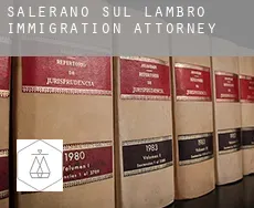 Salerano sul Lambro  immigration attorney
