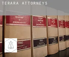 Terara attorneys