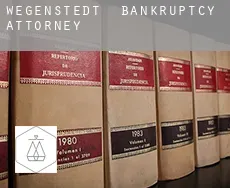 Wegenstedt bankruptcy attorney