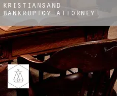 Kristiansand  bankruptcy attorney