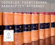 Cozuelos de Fuentidueña  bankruptcy attorney