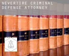 Nevertire criminal defense attorney