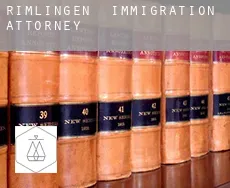 Rimlingen  immigration attorney