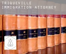 Triqueville immigration attorney