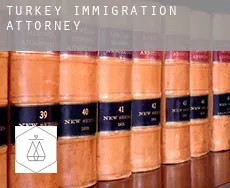 Turkey  immigration attorney