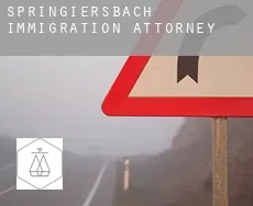 Springiersbach  immigration attorney