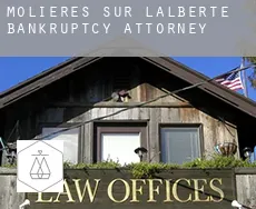 Molières-sur-l'Alberte  bankruptcy attorney