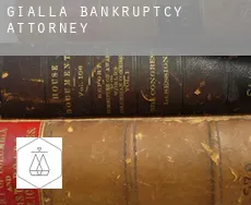 Gialla bankruptcy attorney