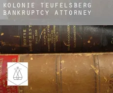 Kolonie Teufelsberg  bankruptcy attorney