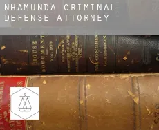Nhamundá criminal defense attorney