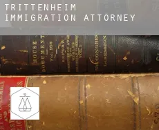 Trittenheim  immigration attorney