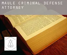 Maule  criminal defense attorney