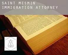 Saint-Mesmin immigration attorney