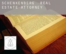 Schenkenberg  real estate attorney