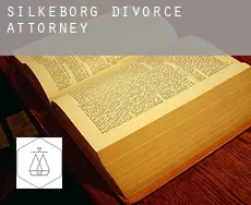 Silkeborg  divorce attorney