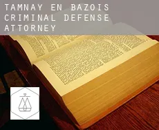 Tamnay-en-Bazois  criminal defense attorney