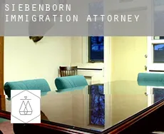 Siebenborn  immigration attorney