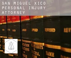 San Miguel Xico  personal injury attorney