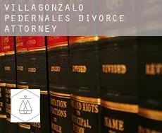 Villagonzalo-Pedernales  divorce attorney