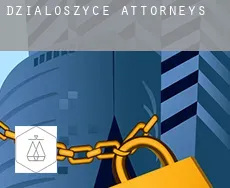 Działoszyce attorneys