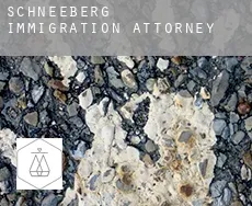 Schneeberg  immigration attorney