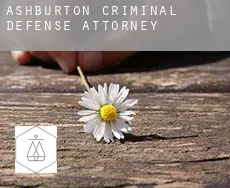 Ashburton  criminal defense attorney