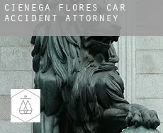 Ciénega de Flores  car accident attorney