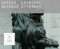 Hofeld  criminal defense attorney