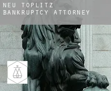 Neu Töplitz  bankruptcy attorney