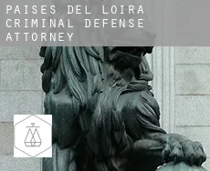 Pays de la Loire  criminal defense attorney