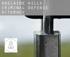 Adelaide Hills  criminal defense attorney