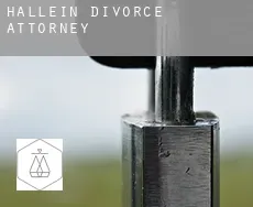 Hallein  divorce attorney