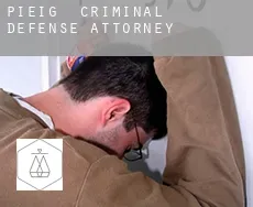 Pießig  criminal defense attorney