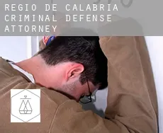 Reggio Calabria  criminal defense attorney