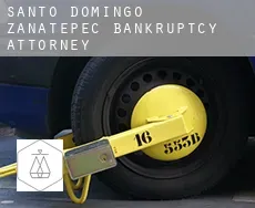 Santo Domingo Zanatepec  bankruptcy attorney